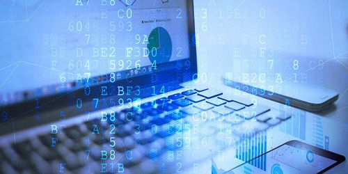 軟件開發培訓 從入門到職業發展的完整指南